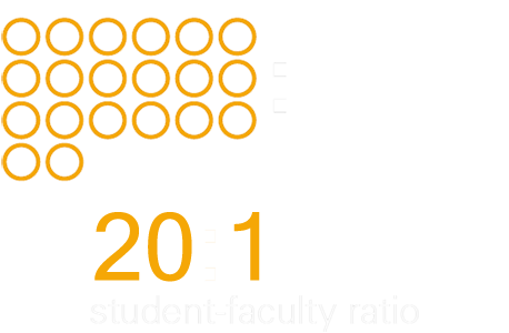 20:1 student-faculty ratio