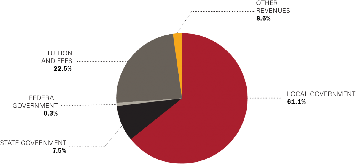 Fiscal year 2024 operating revenues by source (see table for data)