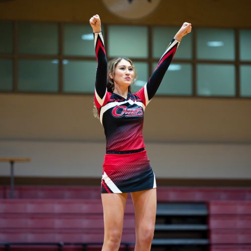 Waubonsee Cheer Team