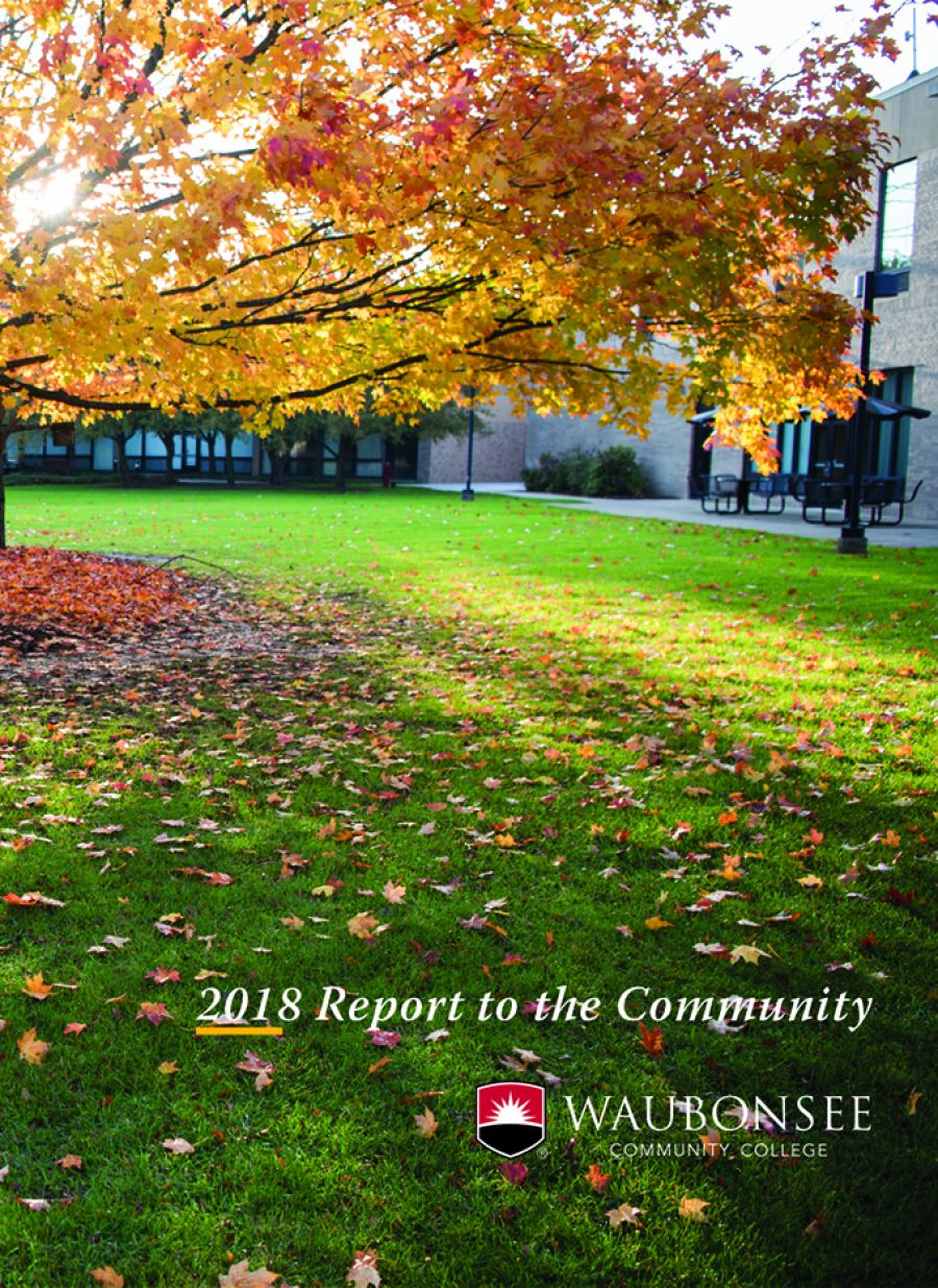 Cover of Annual Report to the Community